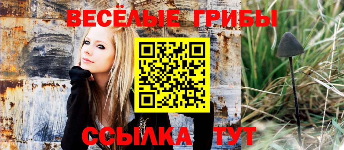 Черногорск  Псилоцибиновые грибы Cubensis  Вход с VPN  где купить наркоту  Галлюциногенные грибы MAGIC MUSHROOMS 